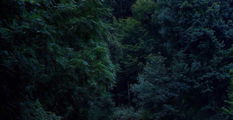 Massage in Hermosa Beach